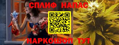 гашик Славгород