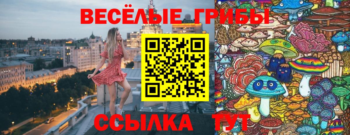 Псилоцибиновые грибы Magic Shrooms  Вход с VPN  Орск  Галлюциногенные грибы Psilocybe 
